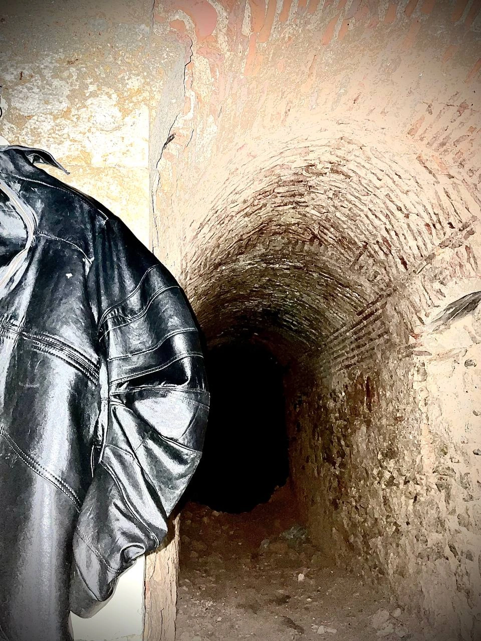 Leather jacket «angel cover», image 6